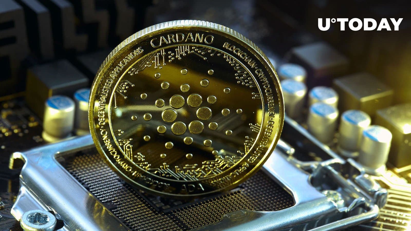 Are half of the Cardano network nodes seriously offline? This is what occurred