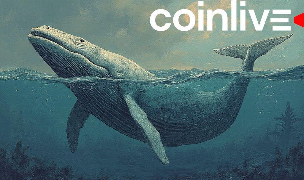 Bitcoin Whale Places $393M Long Bet on Bitcoin