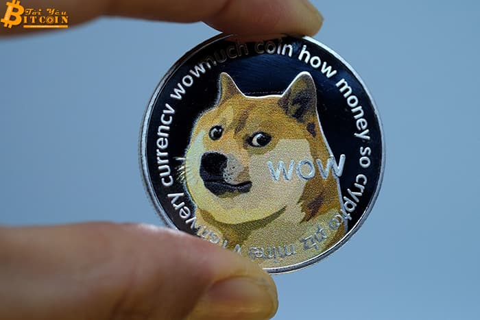 Electronics retailer Newegg accepts Dogecoin payments