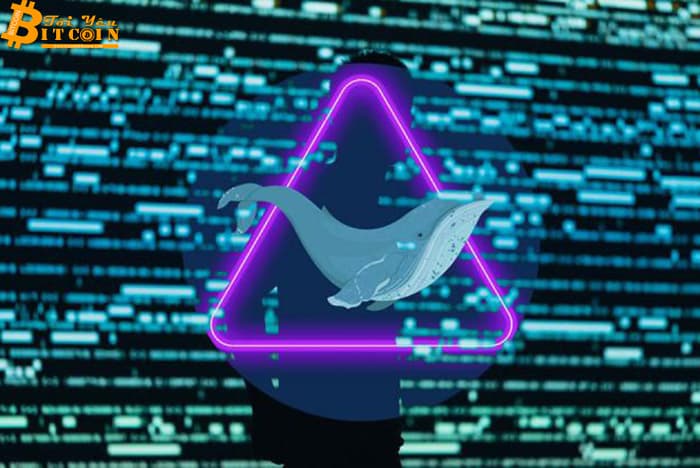 The project owner ran away with the money, the coin lost 99% of its value in just a few minutes