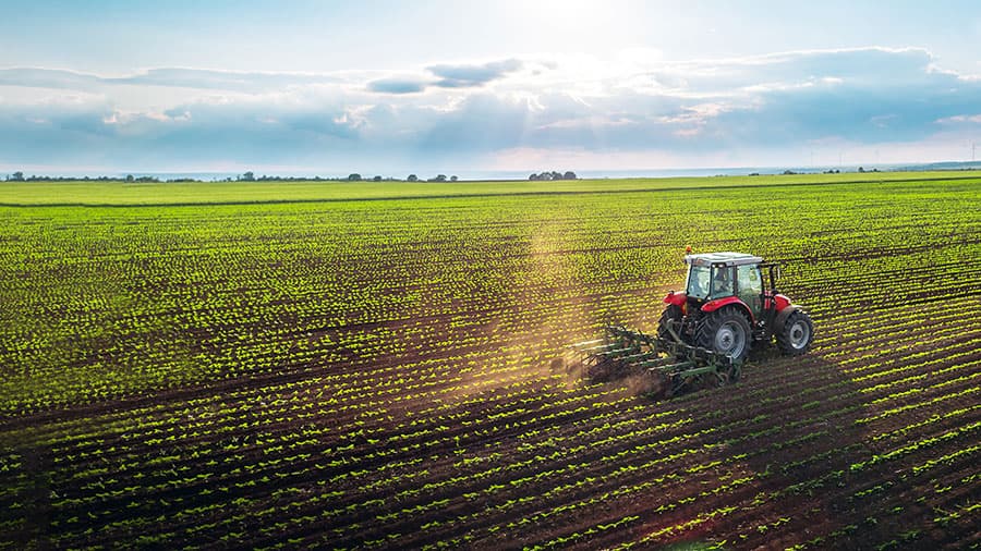 How leveraged agricultural products work - How to reduce the risk of position liquidation