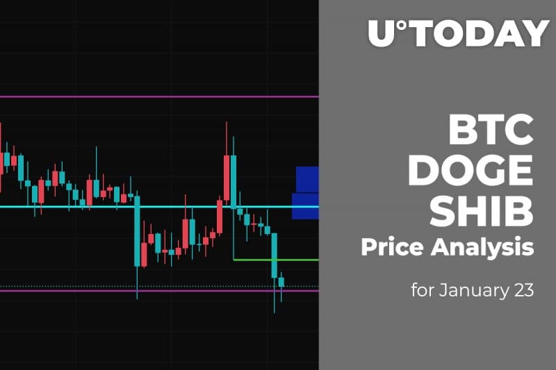 BTC, DOGE and SHIB Price Analysis for January 23