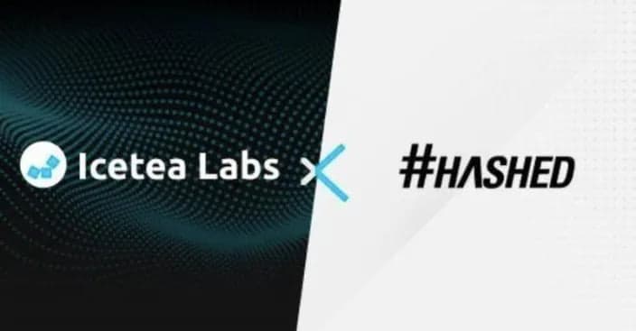 Hashed and Icetea Labs announce teammate