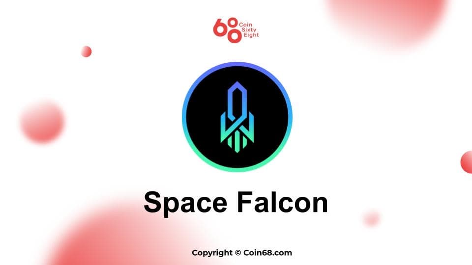 space hawk