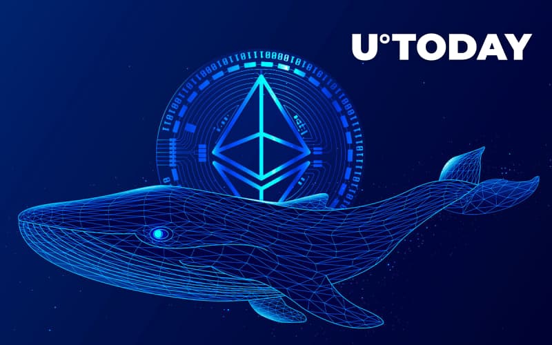 Massive Ethereum Whales Return to Market After 15% Price Rise