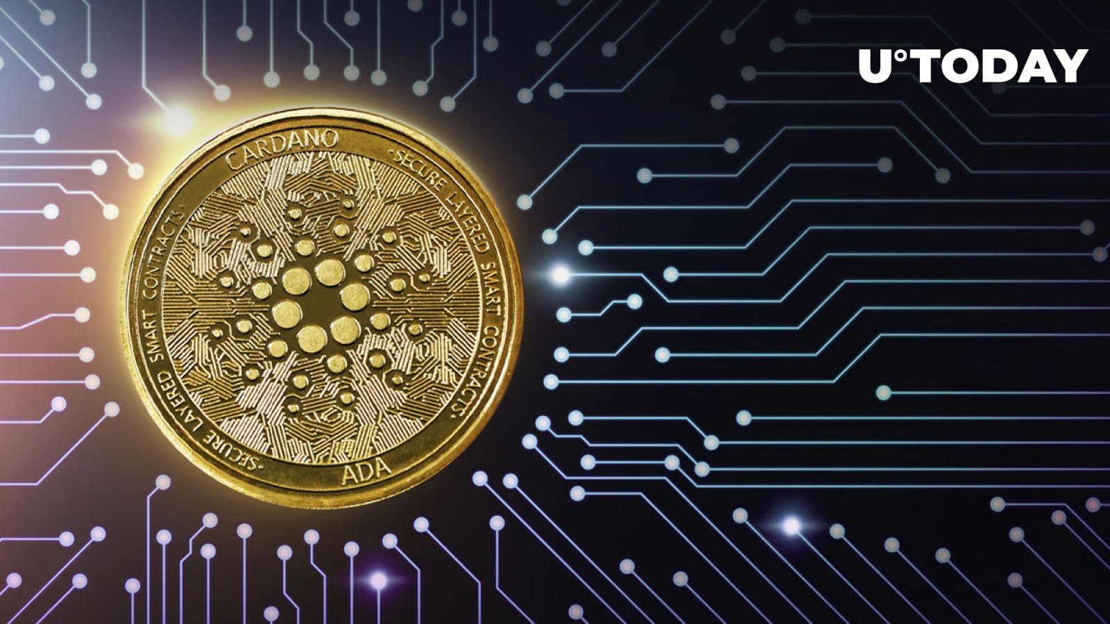 three vital Cardano insights as a further key improve is in the operates