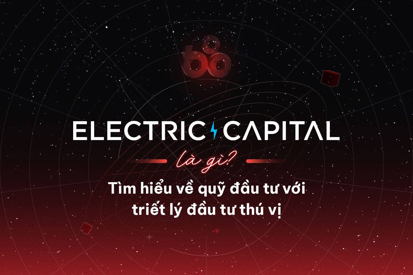 Electric Capital - An investment fund with an interesting investment philosophy