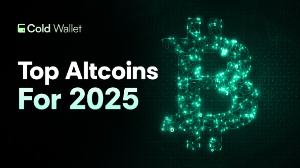 A Smart Buyer’s Guide to the Top Performing Cryptos in 2025
