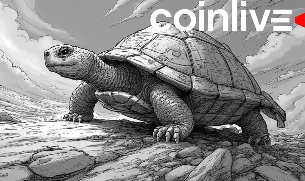Turtle's Innovative Liquidity Leaderboard System