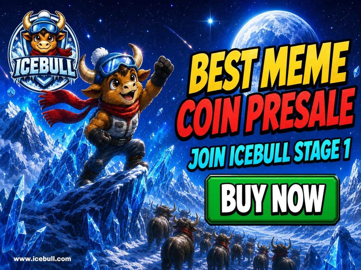Top Meme Coin Picks: BONK and FLOKI Have Momentum, but IceBull Is Still Early